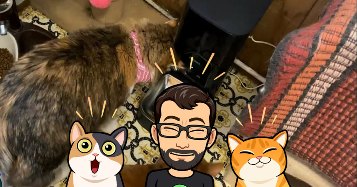 We Bought An Amazing Automatic Pet Feeder For Our 2 Cats! — Mac’s Opinion