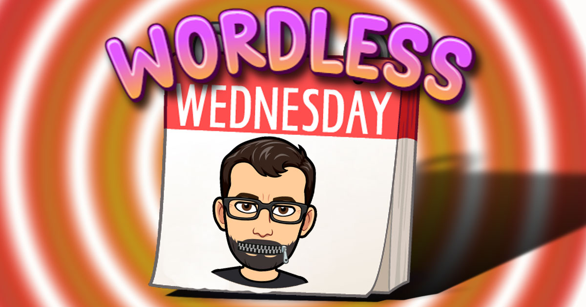 Happy Seedlings #WordlessWednesday Number 2 — Mac’s Opinion