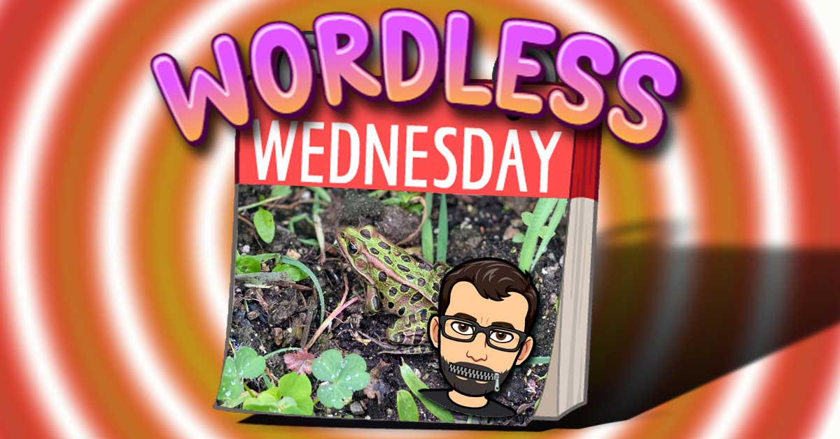 Ribbit – Fun Wordless Wednesday Number 12