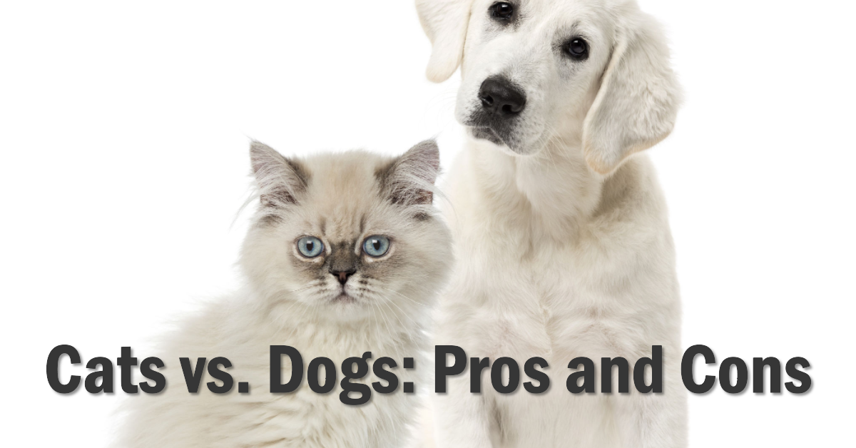 Cats vs. Dogs: Exploring the Top 10 Pros and Cons of Perfect Pets