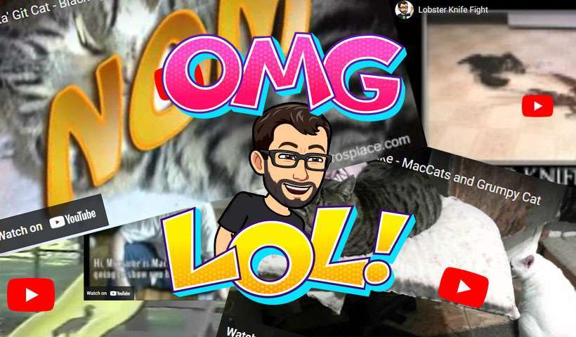 Funny Video Throwback 1 Funny Video Throwback