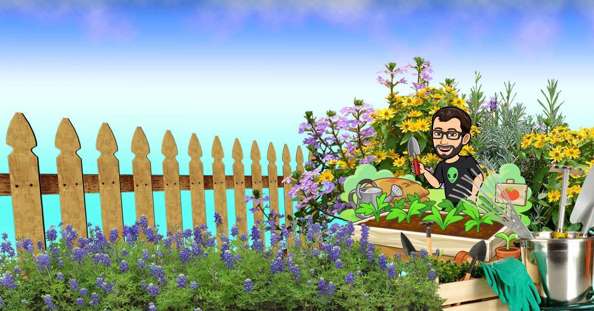 The Benefits of Gardening – 8 Excellent Reasons To Get Started