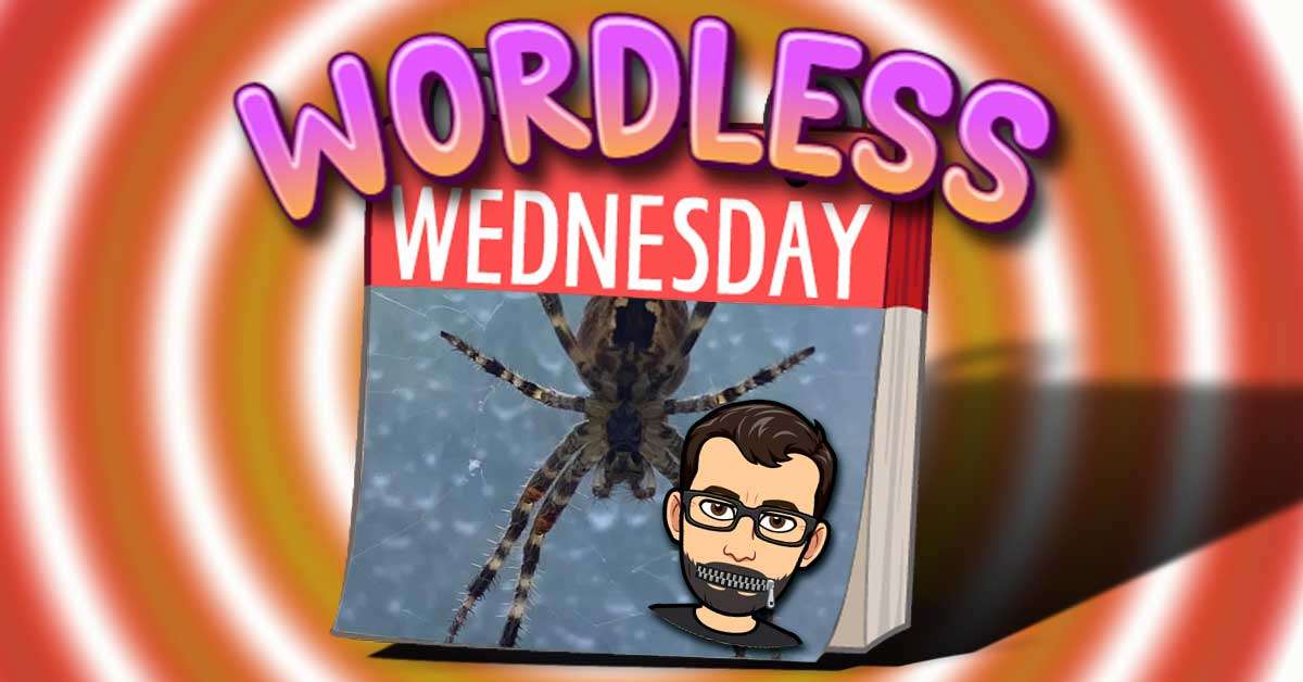 Itsy Bitsy Spider – Fun Wordless Wednesday Number 24 – #WordlessWednesday