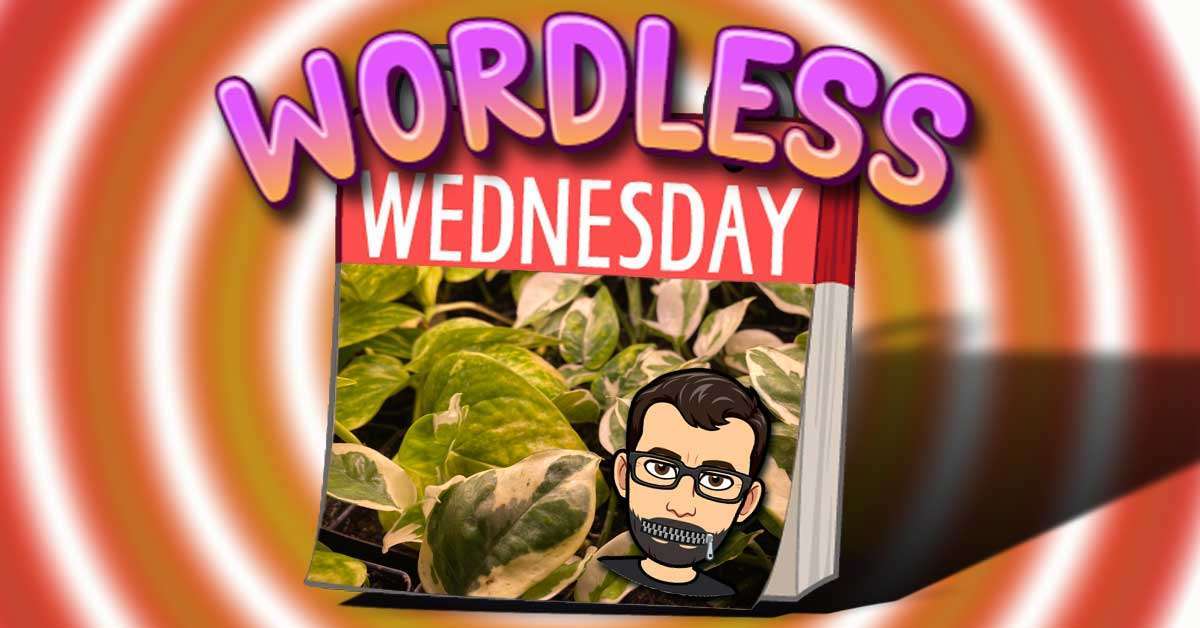 Clippings For Cash – Fun Wordless Wednesday Number 21 – #WordlessWednesday