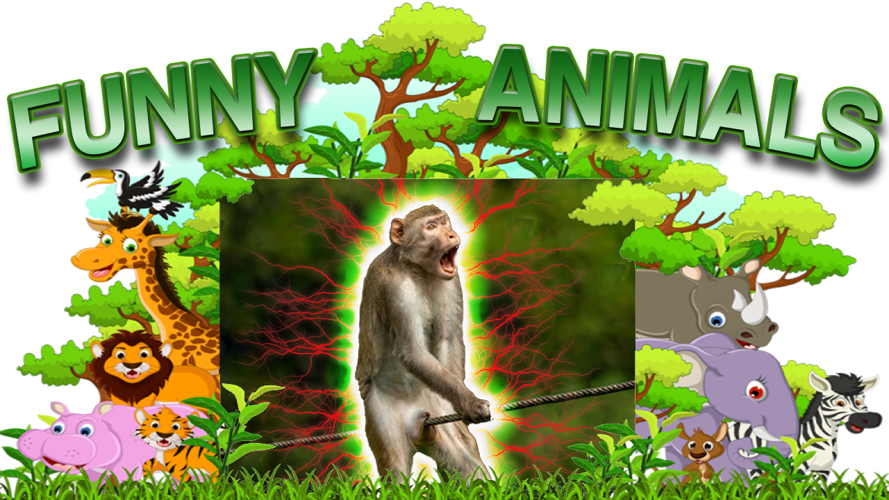 Funny Animals Compilation – Try Not To Laugh Or Smile