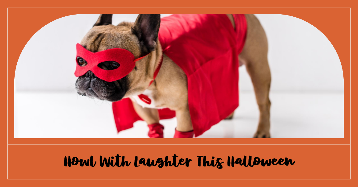 Get Ready to Howl with Laughter: Funny Dog Halloween Costumes Pt 2 of 3