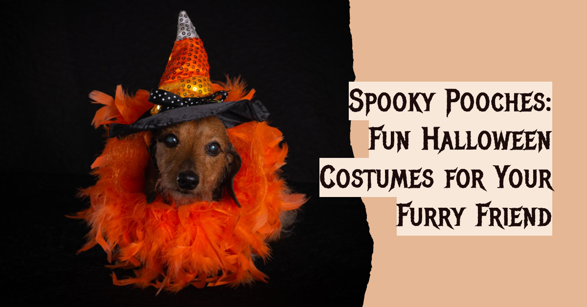 30 Fun Halloween Costume Ideas For Dogs Pt 1 of 3