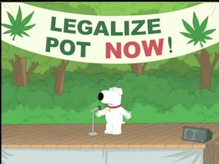 Security Cameras And A Bag Of Weed