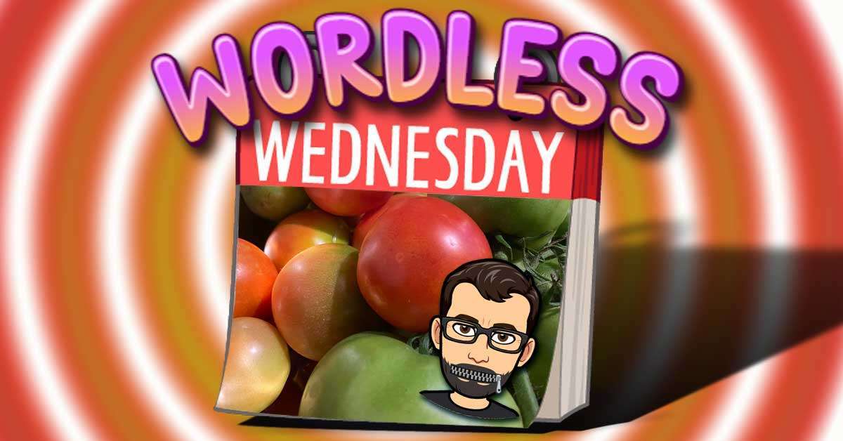 Tomato Tomato – Fun Wordless Wednesday Number 23 – #WordlessWednesday