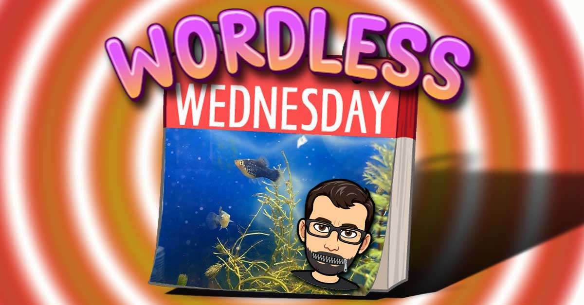 Ooo! Fishies! – Fun Wordless Wednesday Number 9 – #WordlessWednesday