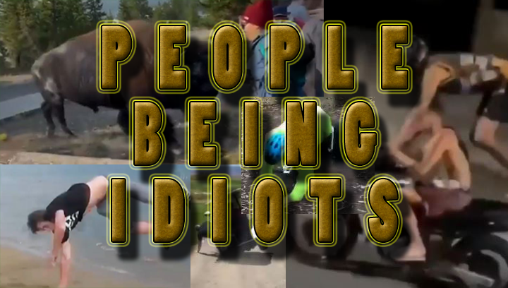 People Being Stupid