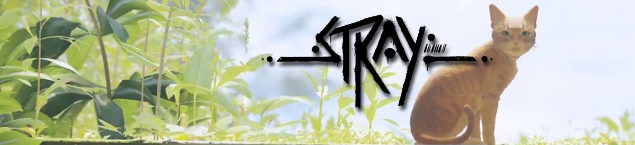 I Finished The Stray Game – Fun Game To Play